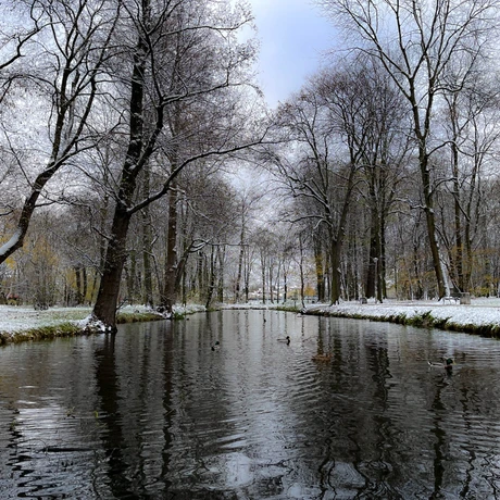 Zima 2023. Pierwszy śnieg w Rzeszowie [Park im. Szafera] - fot 16